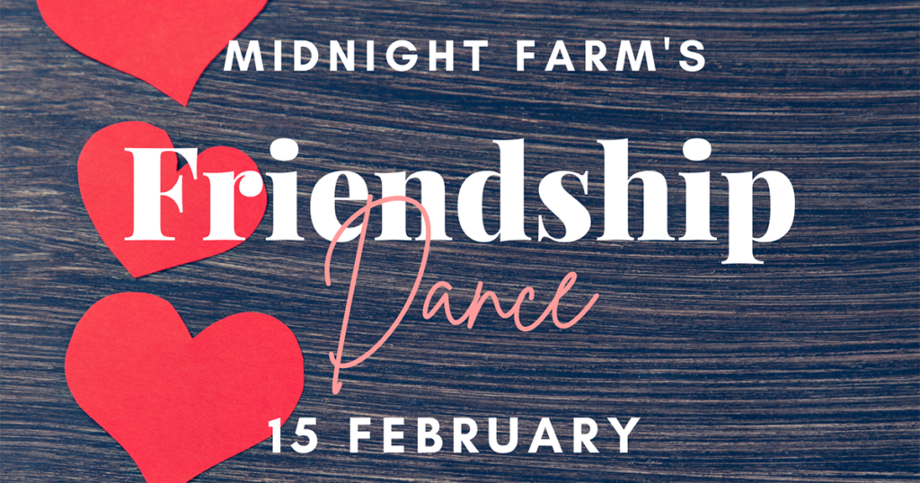 Midnight Farm Celebrates Friendship