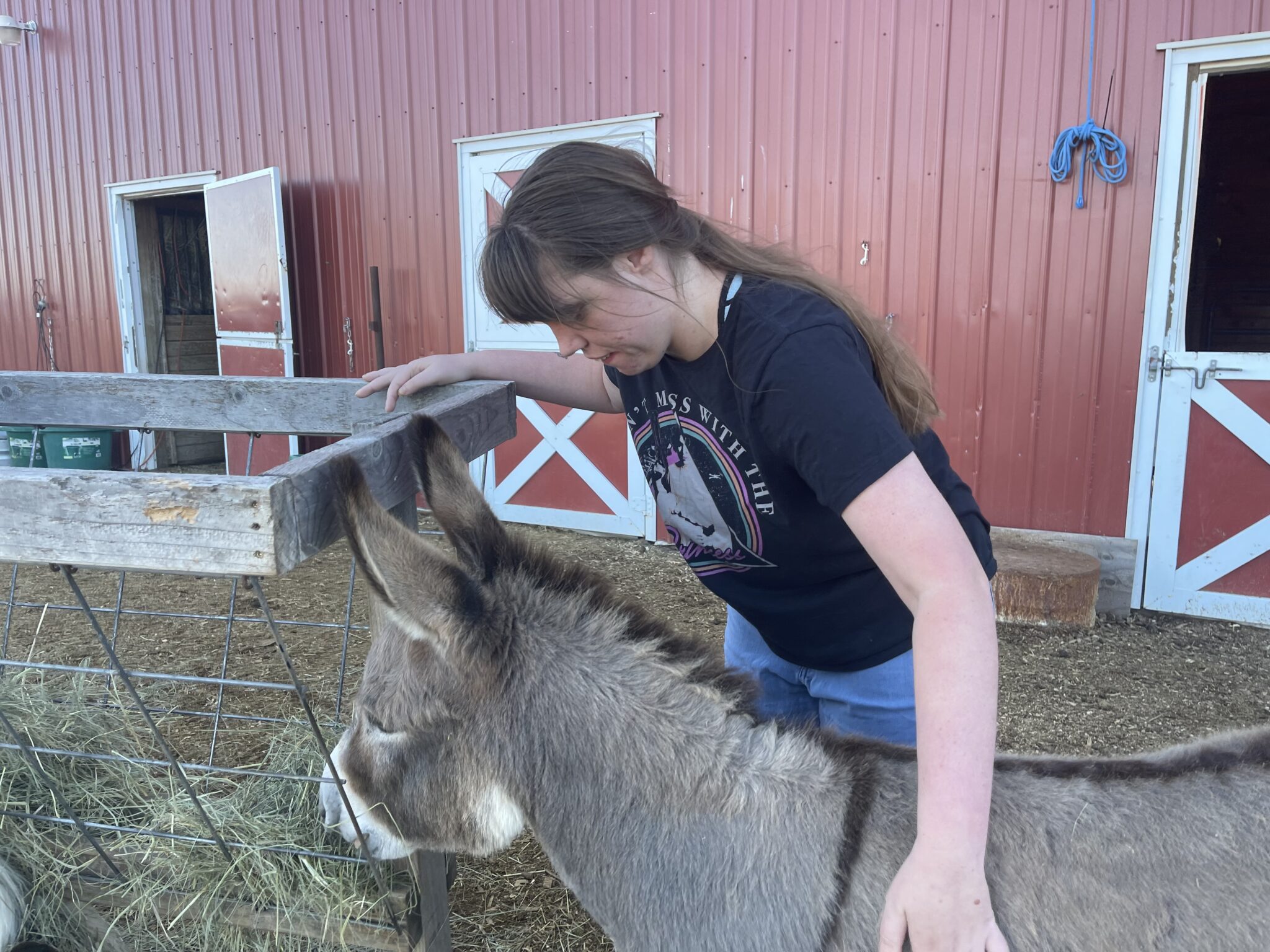 Cheyenne at Midnight Farm feeding a donkey